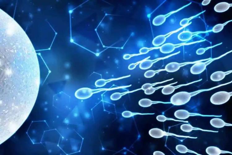 弱精症应该怎么预防?